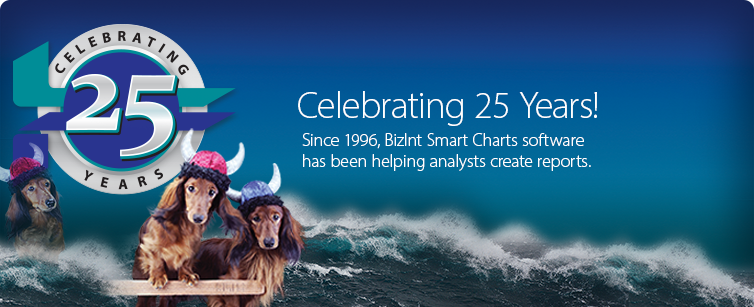 BizInt 25th