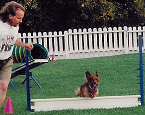 Remy jumping