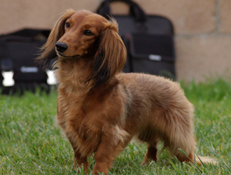 Asti